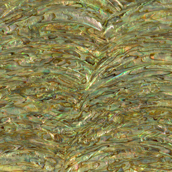 Paua Abalone Rim Light sheets